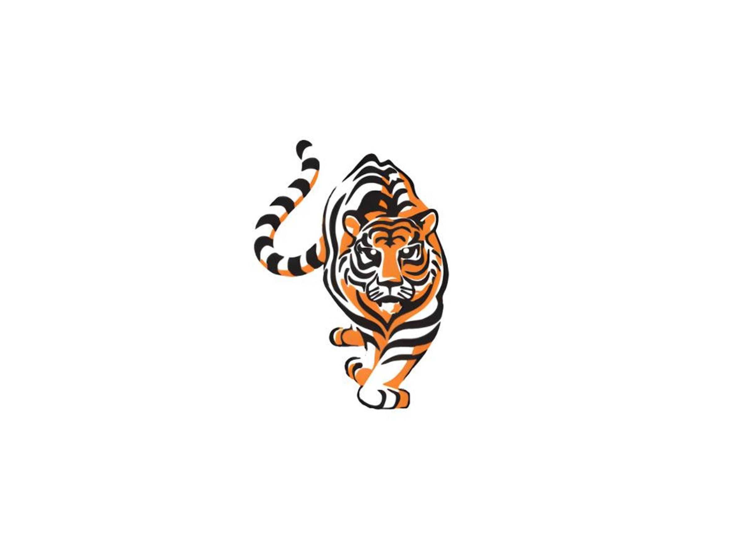 Tiger Car Sales dealership